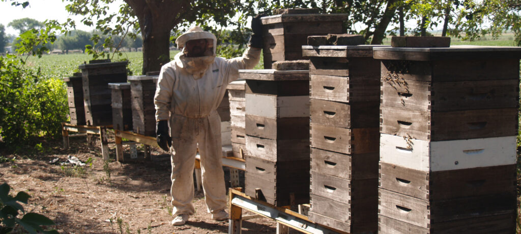 Inicio olympus digital camera